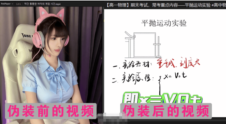 图片[3]-视频伪装大师VideoCamouflageMaster v1.0.0-使者云